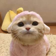 เอสเธอร์ สุปรีย์ลีลา avatar