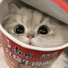 บรรหาร ศิลปอาชา avatar